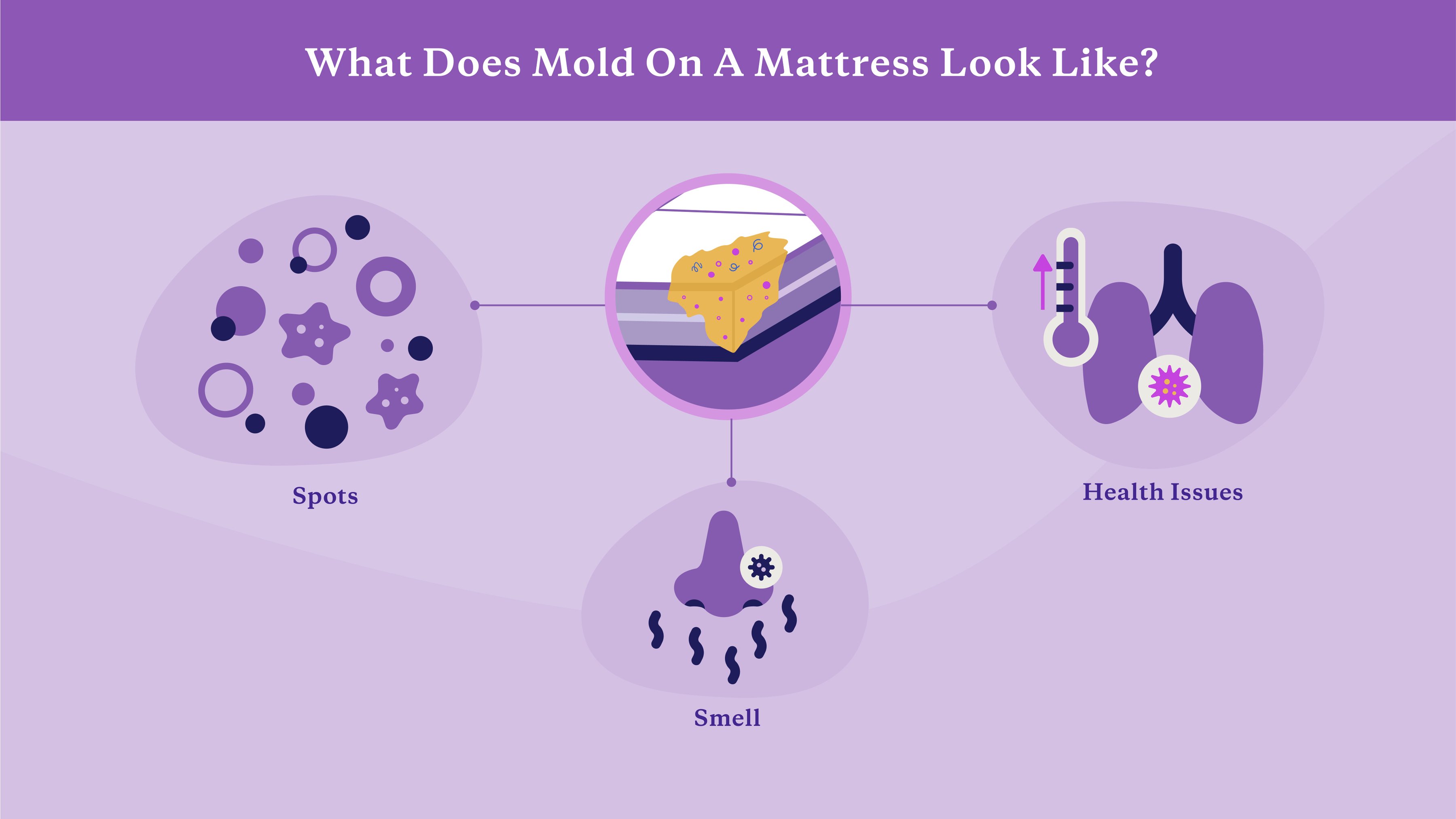 What mold on a mattress looks like
