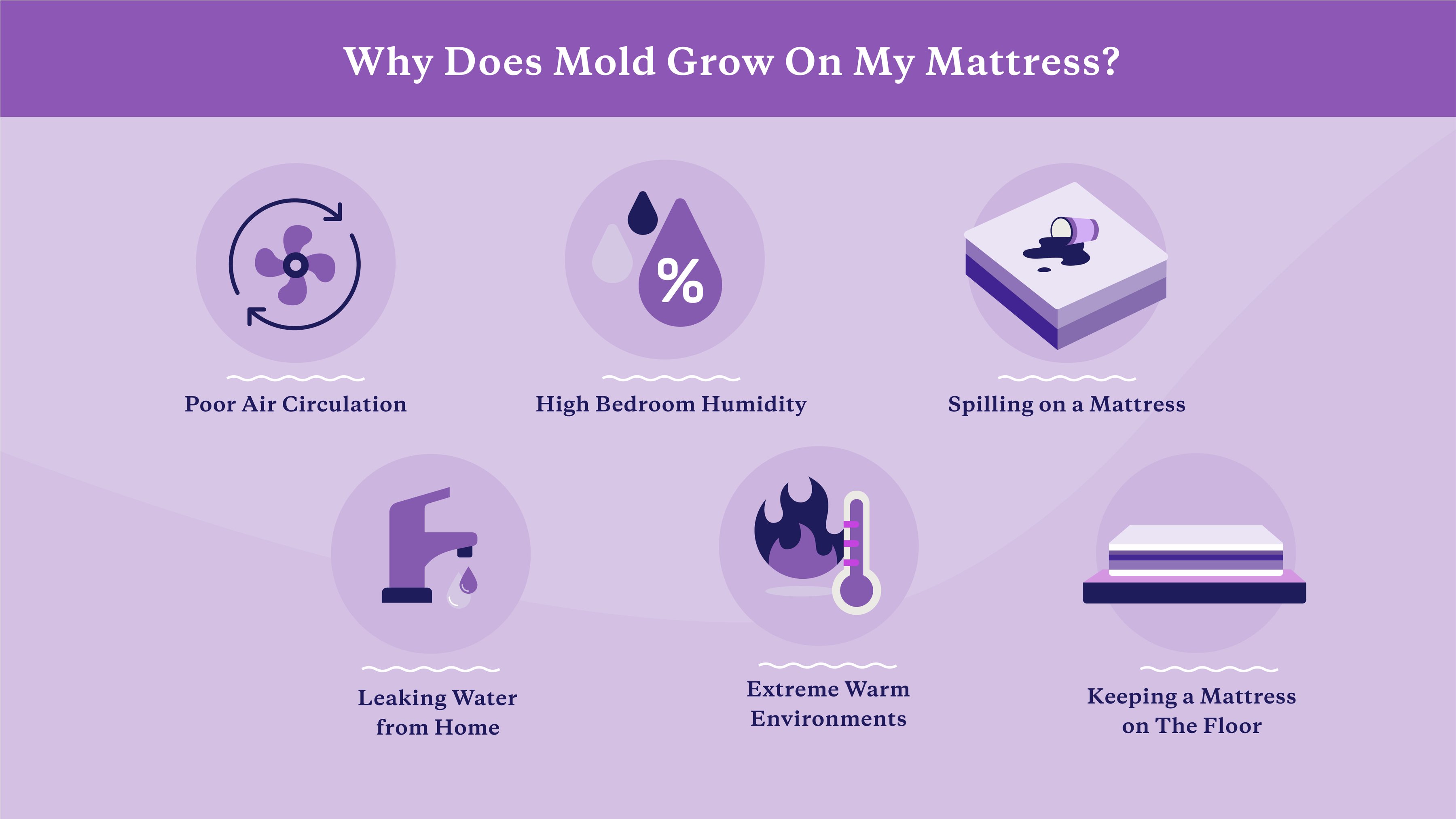 reasons mold grows on a mattress