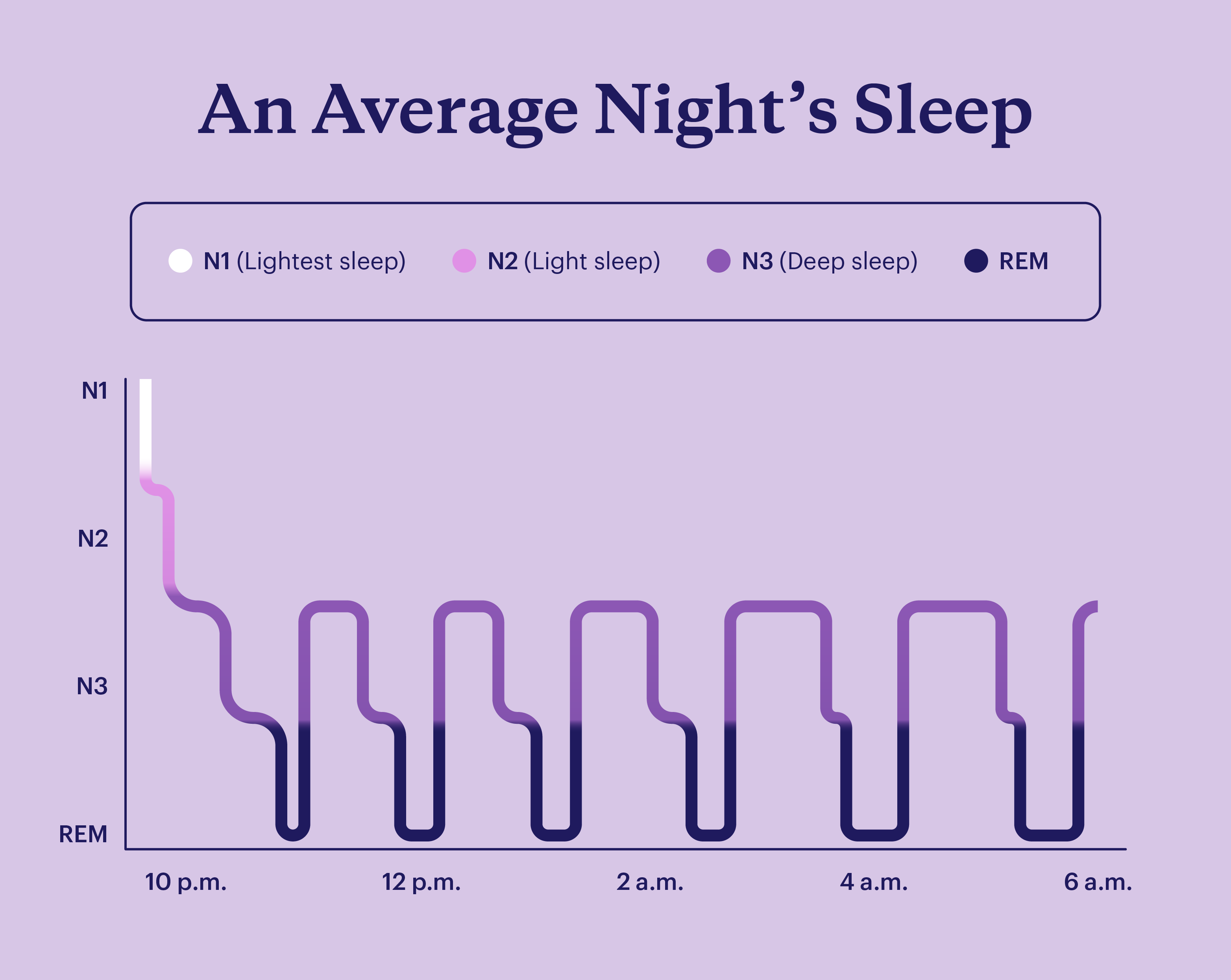 A graph showing the different phases of sleep: N1, N2, N3, and REM.