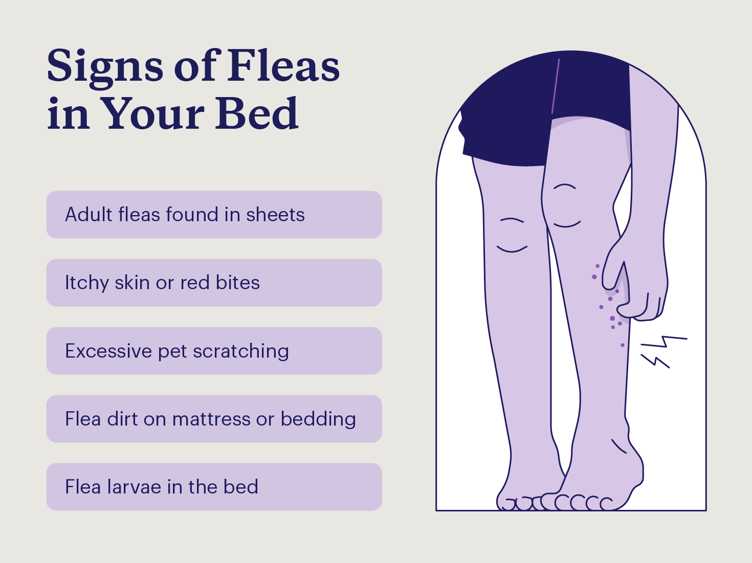 Signs of fleas in your bed including red bites, pet scratching, flea dirt, and flea larvae.