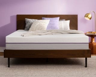 purple plus lifestyle