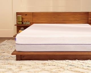 PurplePlus New Look & Feel - 1x1