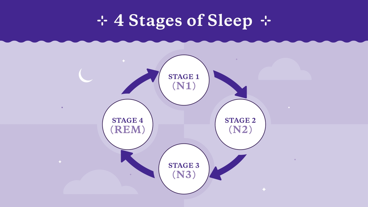 Stages of Sleep: What Happens in Each Stage
