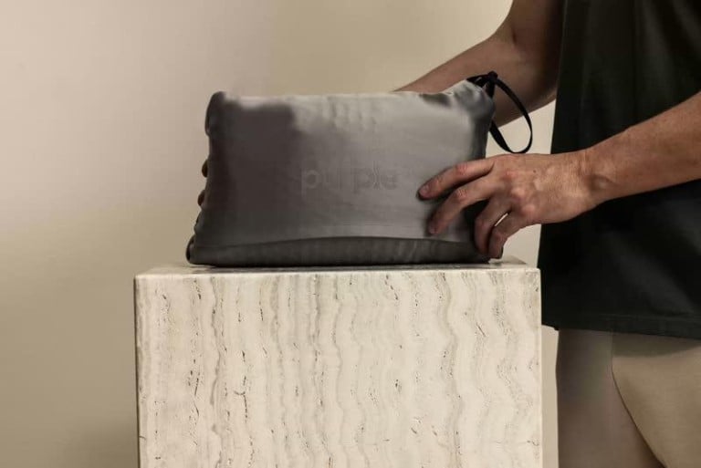 Harmony Pillow Go Anywhere Pillow Case Pillow Covers Purple Travel