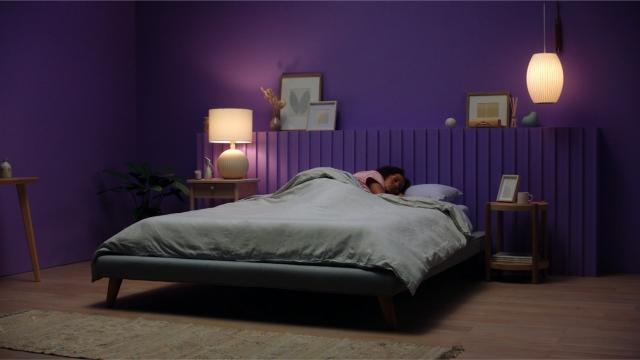 Dark Purple Bedroom with Purple Bed 
