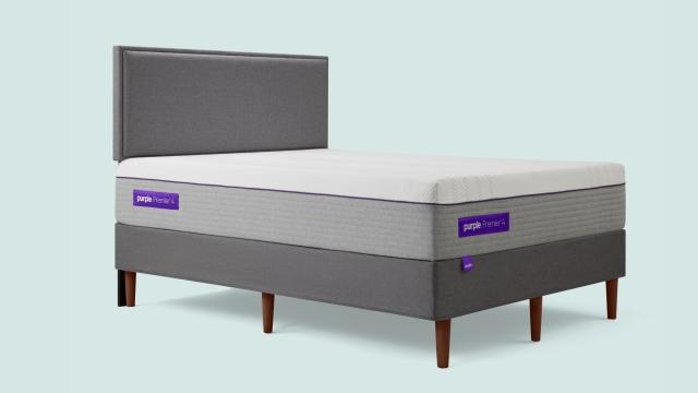 Purple Bed Frame, How To Set Up A Full Bed Frame