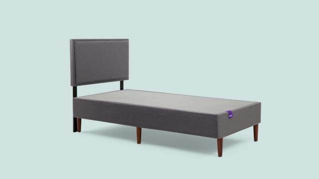 Purple Bed Frame, High Profile Twin Xl Bed Frame