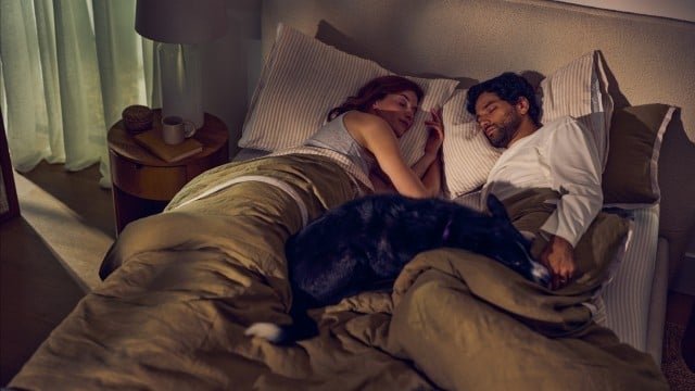 Couple sleeping in bed