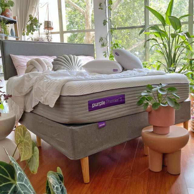 Purple Mattress on a Purple Bed Frame