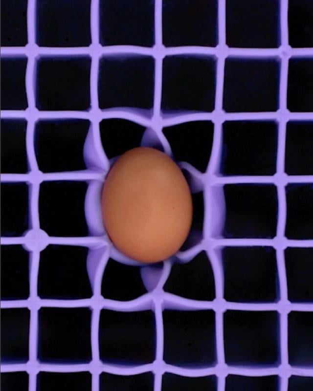 Raw egg cradled by grid