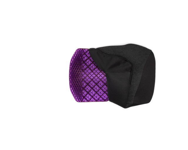 Purple Back Seat Cushion - Comfiest Science You Can Sit On - Store Return