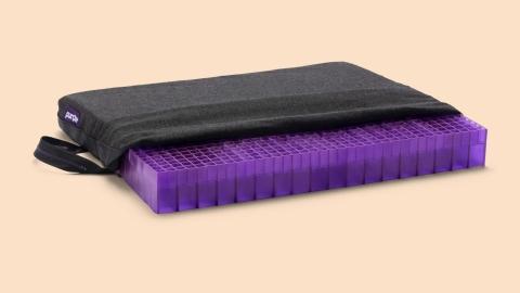 the purple double seat cushion