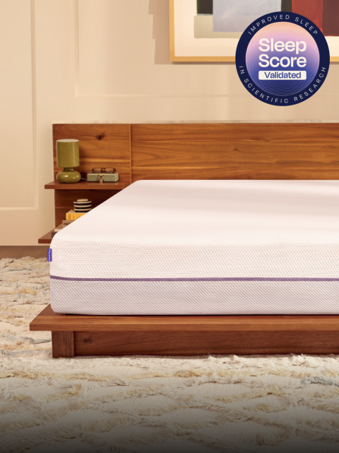 PurplePlus New Look & Feel Updated - 3x4