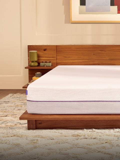 PurplePlus New Look & Feel updated - 4x3