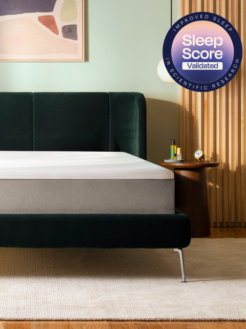 Renew New Look & Feel updated - 4x3