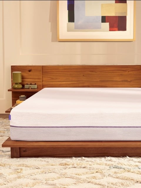 PurplePlus New Look & Feel - 5x4