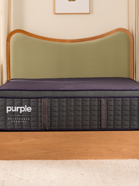 rejuvenatepremier sleep score desktop